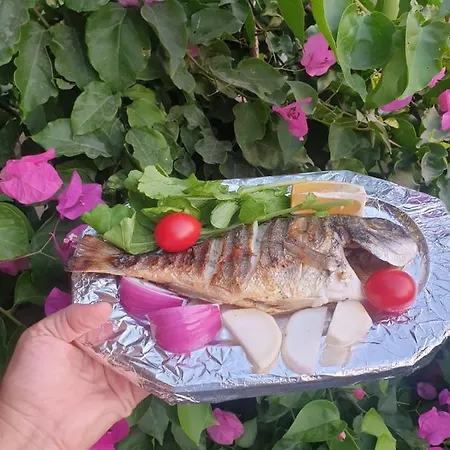 Ilkim * 말마리스